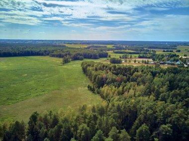 Bialowieza Ormanı'na güzel panoramik hava drone görünümü - bir zamanlar Avrupa Ovası boyunca uzanan büyük ilkel ormanın son ve en büyük kalan parçalarından biri