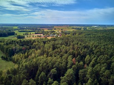 Bialowieza Ormanı'na güzel panoramik hava drone görünümü - bir zamanlar Avrupa Ovası boyunca uzanan büyük ilkel ormanın son ve en büyük kalan parçalarından biri