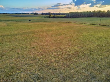 Gün batımında Doğu Polonya'daki tarlaları görmek için güzel panoramik hava drone görünümü, Bialowieza Ormanı yakınında - avrupa'daki en büyük ilkel avrupa ormanının son ve en büyük kalan kısımlarının yakınında