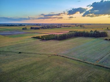 Gün batımında Doğu Polonya'daki tarlaları görmek için güzel panoramik hava drone görünümü, Bialowieza Ormanı yakınında - avrupa'daki en büyük ilkel avrupa ormanının son ve en büyük kalan kısımlarının yakınında