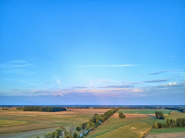 Belle vue panoramique aérienne sur les champs de l'est de la Pologne au coucher du soleil, près de la forêt de Bialowieza - près de la dernière et la plus grande partie restante de l'immense forêt primitive européenne — Photo
