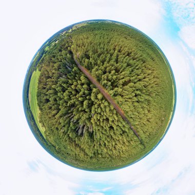 Bialowieza Ormanı'na kadar güzel 360 panoramik küçük gezegen havadan insansız hava aracı görünümü - bir zamanlar Avrupa Ovası boyunca uzanan muazzam ilkel ormanın son ve en büyük kalan parçalarından biri