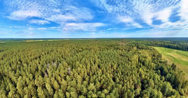 Bialowieza Ormanı'na güzel panoramik hava drone görünümü - bir zamanlar Avrupa Ovası boyunca uzanan büyük ilkel ormanın son ve en büyük kalan parçalarından biri