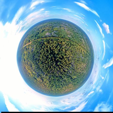 Bialowieza Ormanı'na kadar güzel 360 panoramik küçük gezegen havadan insansız hava aracı görünümü - bir zamanlar Avrupa Ovası boyunca uzanan muazzam ilkel ormanın son ve en büyük kalan parçalarından biri