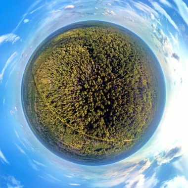 Bialowieza Ormanı'na kadar güzel 360 panoramik küçük gezegen havadan insansız hava aracı görünümü - bir zamanlar Avrupa Ovası boyunca uzanan muazzam ilkel ormanın son ve en büyük kalan parçalarından biri