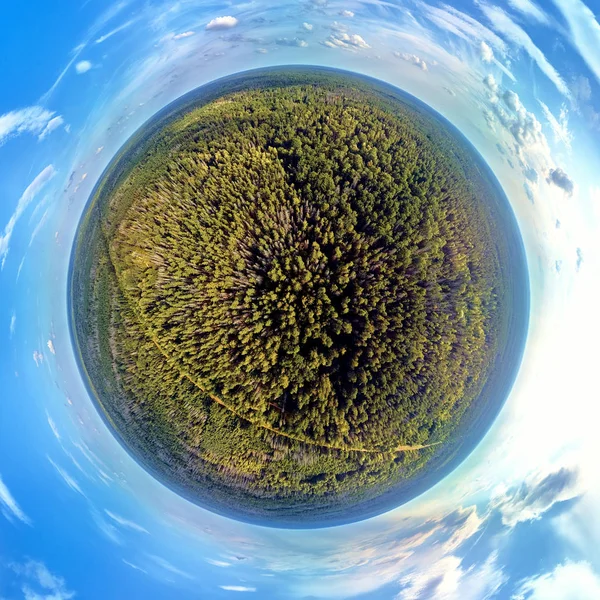 Beautiful 360 panoramic little planet aerial drone view to Bialowieza Forest - one of the last and largest remaining parts of the immense primeval forest that once stretched across the European Plain