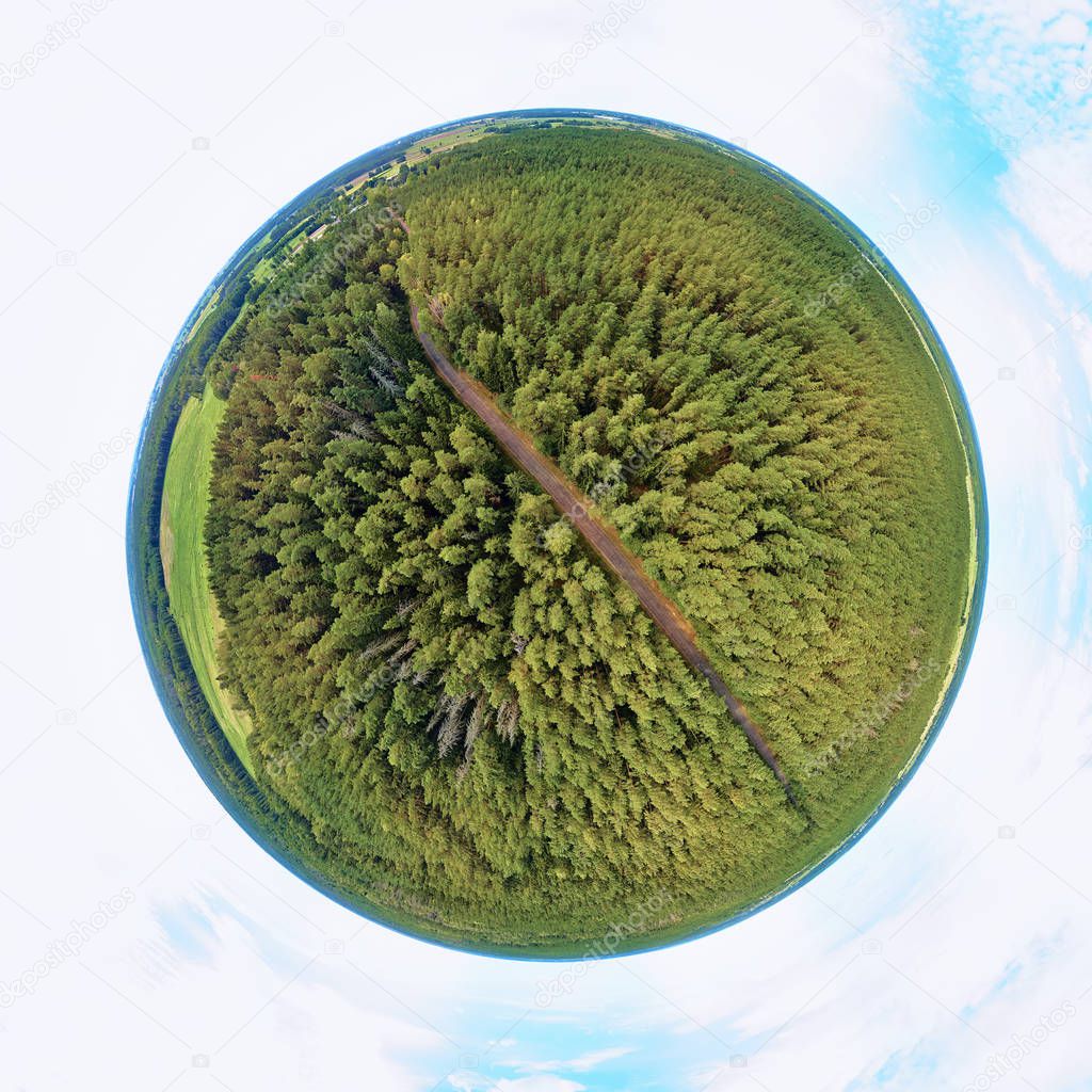 Beautiful 360 panoramic little planet aerial drone view to Bialowieza Forest - one of the last and largest remaining parts of the immense primeval forest that once stretched across the European Plain