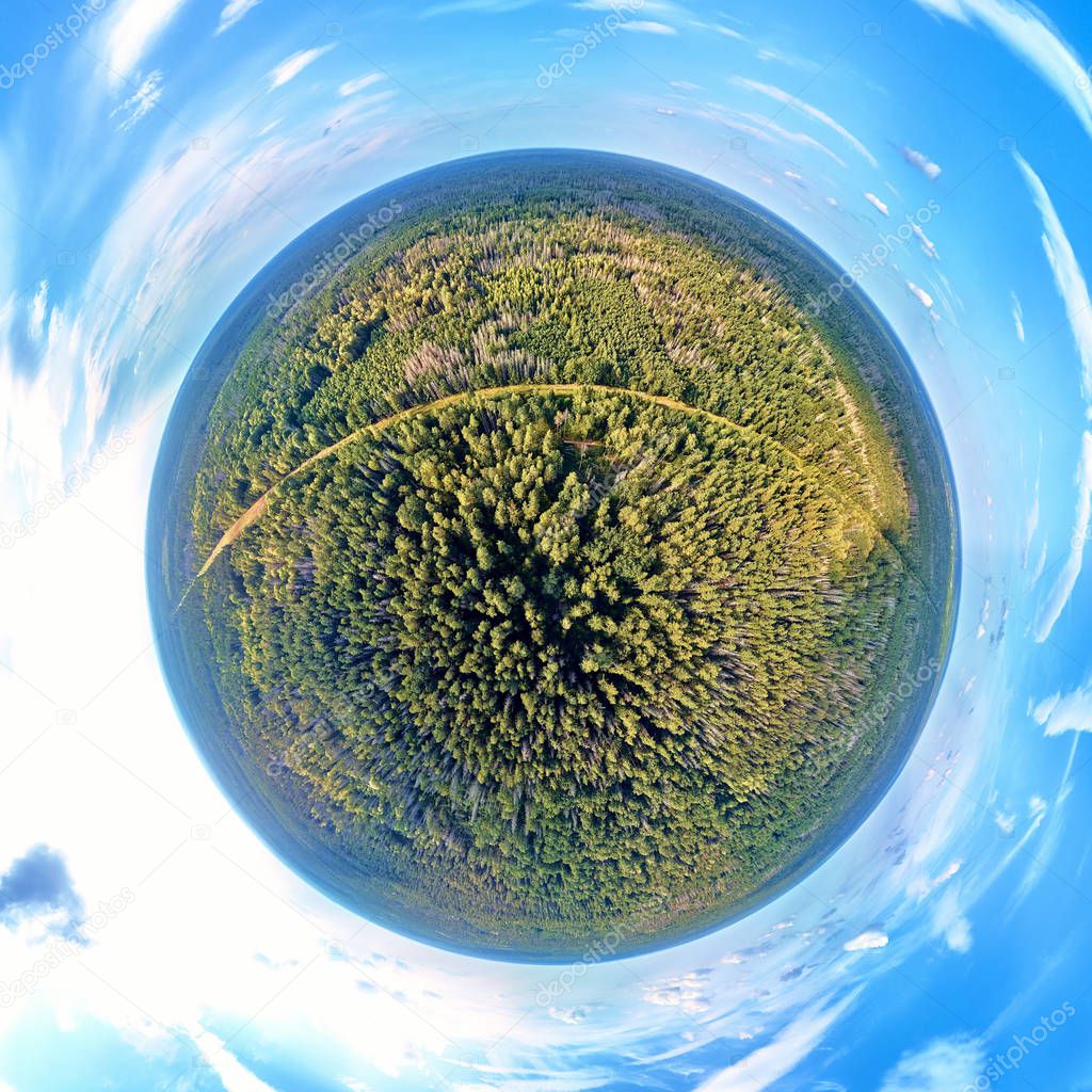 Beautiful 360 panoramic little planet aerial drone view to Bialowieza Forest - one of the last and largest remaining parts of the immense primeval forest that once stretched across the European Plain