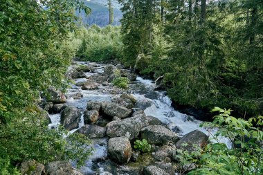 Yüksek Tatras Ulusal Parkı, Slovakya, Avrupa ve AB 'deki dağ deresi. Güzel dünya.