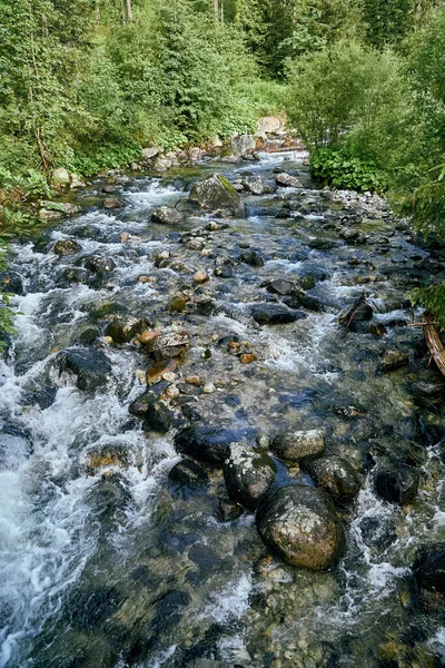 Fluxo Montanha Parque Nacional High Tatras Eslováquia Europa Mundo Bonito — Fotografia de Stock