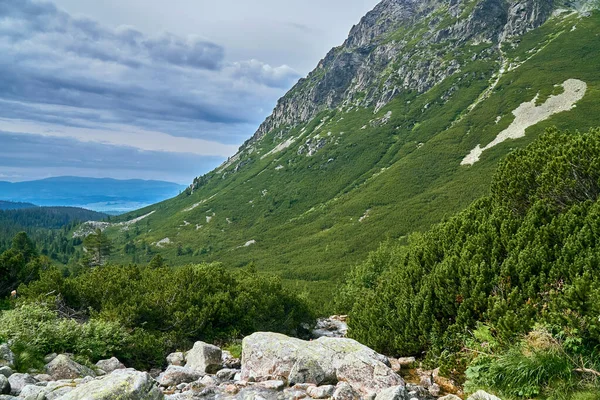 Belle Vue Aérienne Panoramique Sur Les Drones Montagne Dans Parc — Photo