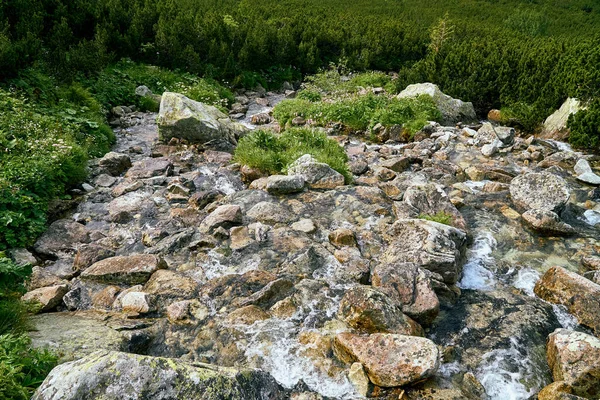 Mountain Stream High Tatras National Park Slovakia Europe Beautiful World — Stock Photo, Image