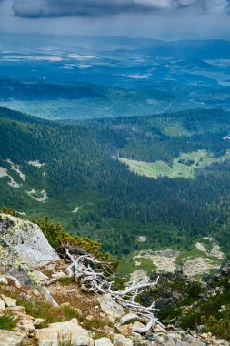 Ulusal Park Lisesi Tatra 'daki dağ gölünün panoramik hava aracı görüntüsü. Strbske pleso, Slovakya, Avrupa, AB. Güzel dünya.