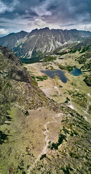 Горный Поток Национальном Парке Высокие Татры Словакия Европа Прекрасный Мир — стоковое фото