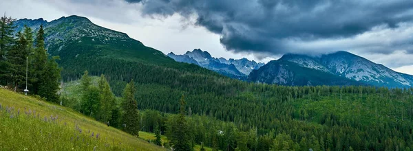 Belle Vue Aérienne Panoramique Sur Les Drones Montagne Dans Parc — Photo