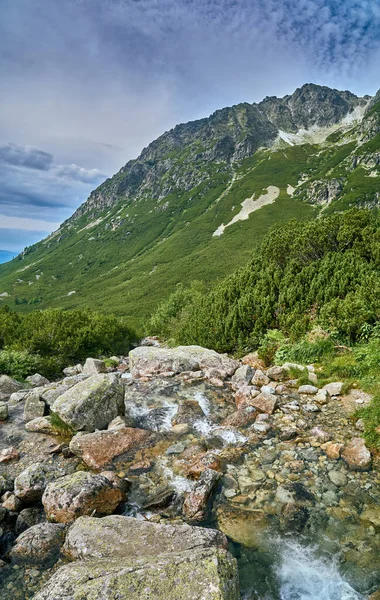 Mountain Stream High Tatras National Park Σλοβακία Ευρώπη Όμορφος Κόσμος — Φωτογραφία Αρχείου