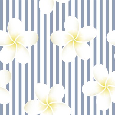 Dikişsiz çizgili vektör tropikal desen. Plumeria, Frangipani. Egzotik vektör plaj duvar kağıdı Dikişsiz desen.