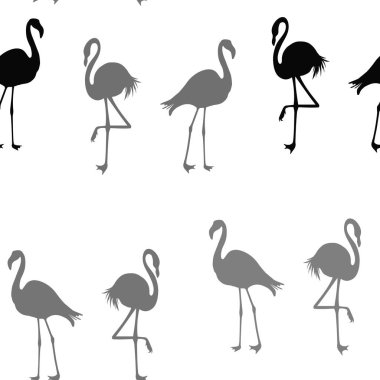 Dikişsiz Flamingo desen vektör illüstrasyon. Siyah flamingolar deseni. Yaz duvar kağıdı arka plan, karikatür vektör illüstrasyon.
