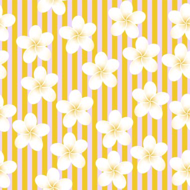 Dikişsiz çizgili vektör tropikal desen. Plumeria, Frangipani. Dikişsiz egzotik vektör plaj duvar kağıdı.