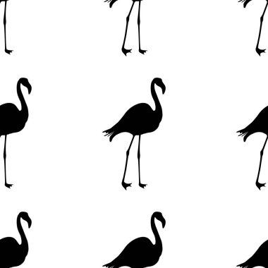 Dikişsiz Flamingo desen vektör illüstrasyon. Siyah flamingolar deseni. Yaz duvar kağıdı arka plan, karikatür vektör illüstrasyon.