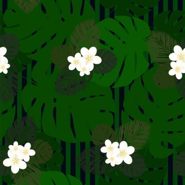 Dikişsiz çizgili vektör tropikal desen. Plumeria, Frangipani. Egzotik vektör plaj duvar kağıdı Dikişsiz desen.