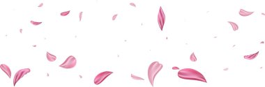 Pembe düşen yaprakları yükseldi. Güzel çiçek pastel doku arka plan.
