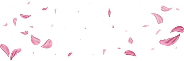 Rosa pétalos cayendo rosa. Bonita flor pastel textura fondo . — Vector de stock