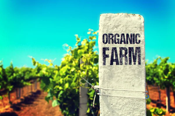 Organic Farm - Eco Concept. — Stock Photo, Image