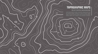 Topografi Haritası Arkaplanı. Vektör Web Afişi.