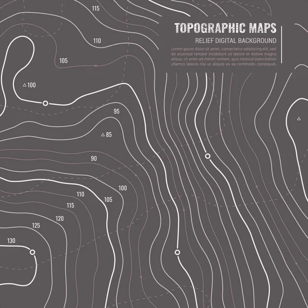 Soyut Topografik Arkaplan — Stok Vektör