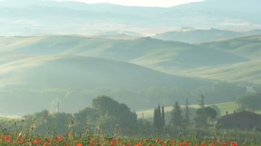 Tuscany, İtalya - 10 Haziran 2018: Misty manzara ev çiftlik ve haşhaş çiçekleri ile akşam tepelik Tuscan alanının sallanan Valdocia, orta İtalya, rüzgarda