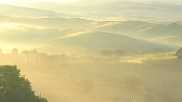 トスカーナ イタリア 2018 自然黄金の光夏季 Valdocia イタリア中部のトスカーナ フィールドで丘陵風景の夜の霧 — ストック動画