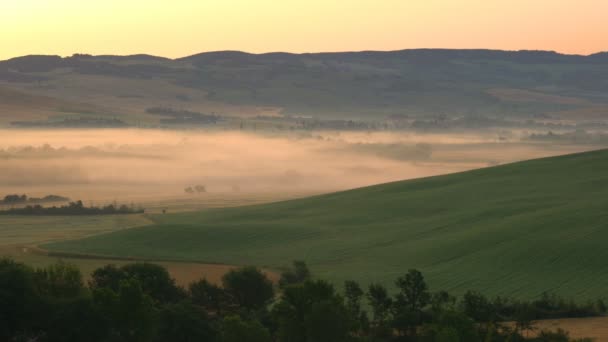 霧と緑のトスカーナ フィールドの美しい丘陵の風景 糸杉の木と日の出ビル行の表示 — ストック動画