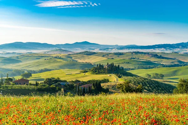 Hermoso Paisaje Toscana Montañosa Verano Mañana Soleada Con Famosa Casa — Foto de Stock