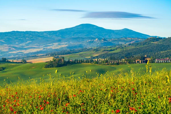 Hermoso Paisaje Natural Campo Verde Montañoso Toscano Verano Con Casa — Foto de Stock