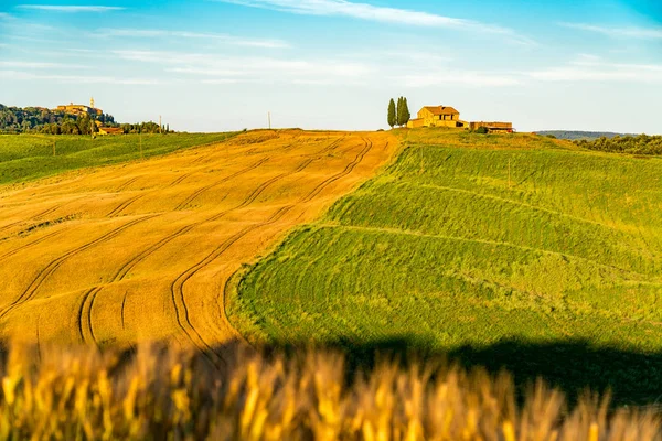 Yaz sezonu tipik İtalyan ev, yeşil tarım alanı ve selvi ağaçları, Orta Italya'nin tepelik Tuscan alanının doğal peyzaj