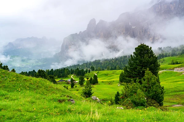 Beautiful landscape of the green valley  at Sella Pass in South Tyrol Italy with Italian house, the hill of yellow flowers and the Sella Group mountain covered with rain clouds in the background
