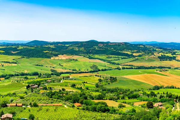 Vista Aérea Del Paisaje Natural Toscana Verano Con Tierra Cultivada — Foto de Stock