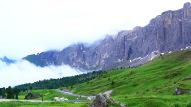 Kireçtaşı dağ sonra yağmur Dolomites İtalya güzel manzara orman yeşil çim ve sarı çiçekler ile kaplı kayalık tepenin çam ağaçlarının,
