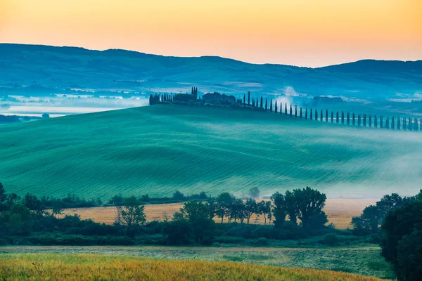 Hermoso Paisaje Toscana Por Mañana Temprano Con Campo Colinas Verdes — Foto de Stock