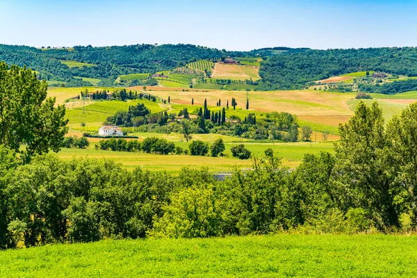 Hermoso Paisaje Verde Toscana Montañosa Con Casa Campo Los Cipreses — Foto de Stock