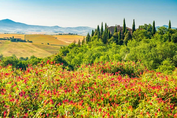 Hermoso Paisaje Toscana Montañosa Día Soleado Valdocia Italia Con Campo — Foto de Stock
