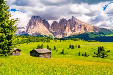 Yeşil alp Plato Seiser Alm doğal peyzaj ve Dolomites'in Langkofel grup South Tyrol, İtalya için güneşli günde güzel çiçek alan ile