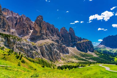 Gardena Pass Dolomites dağda çimenli tepe ve çiçek alan South Tyrol, İtalya için Buradan geçen dağ yolu ile peyzaj