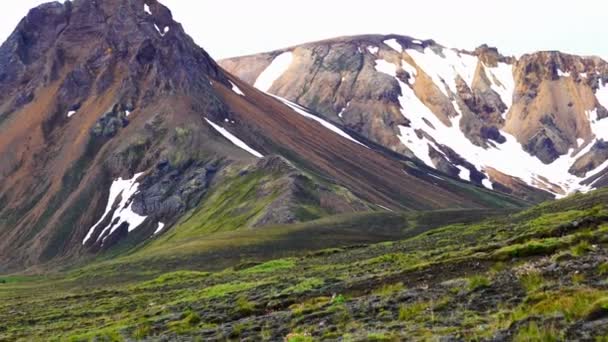 在冰岛高地 Fjallabak 自然保护区的 Landmannalaugar 洛基山和鲜花的美丽山脉的黄昏景色 — 图库视频影像