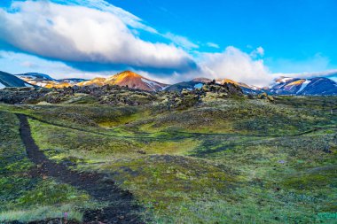 Güneş ışığı etkileyici görünüm Parlatıcı ile çiçek kayalık alan güzel dağ tepesinde Highlands İzlanda'daki Landmannalaugar sabah
