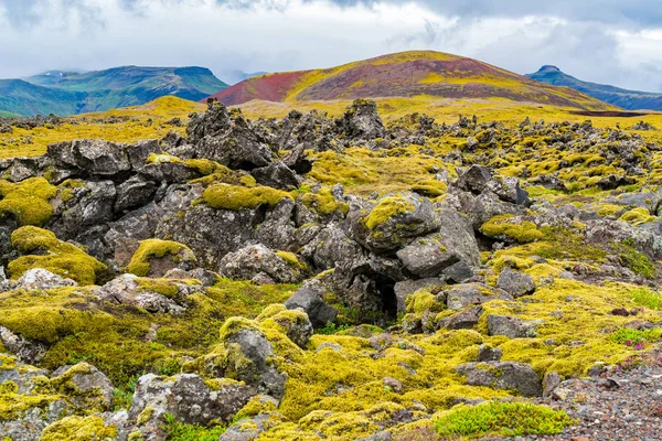 Typische Weergave Van Ijslandse Mossy Lava Veld Ijsland Met Bergen — Stockfoto