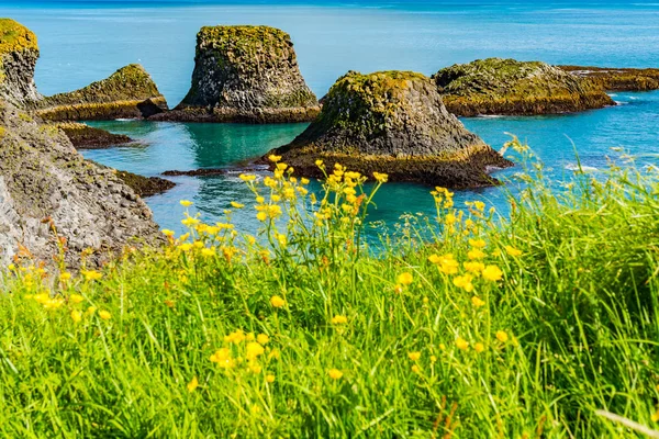 Вид Формирование Базальтовых Пород Побережье Атлантического Океана Деревне Арнархи Исландии — стоковое фото