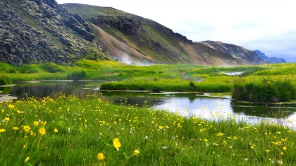 Prachtige Vulkanische Landschap Van Berg Gele Bloemen Veld Hete Lente — Stockvideo