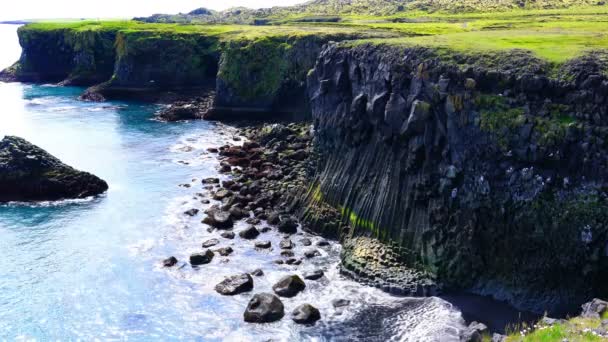 Schöne Isländische Landschaft Mit Den Seevögeln Die Der Klippe Der — Stockvideo